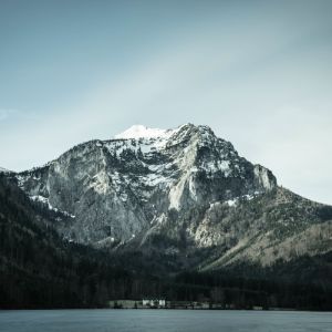 Photo Posts